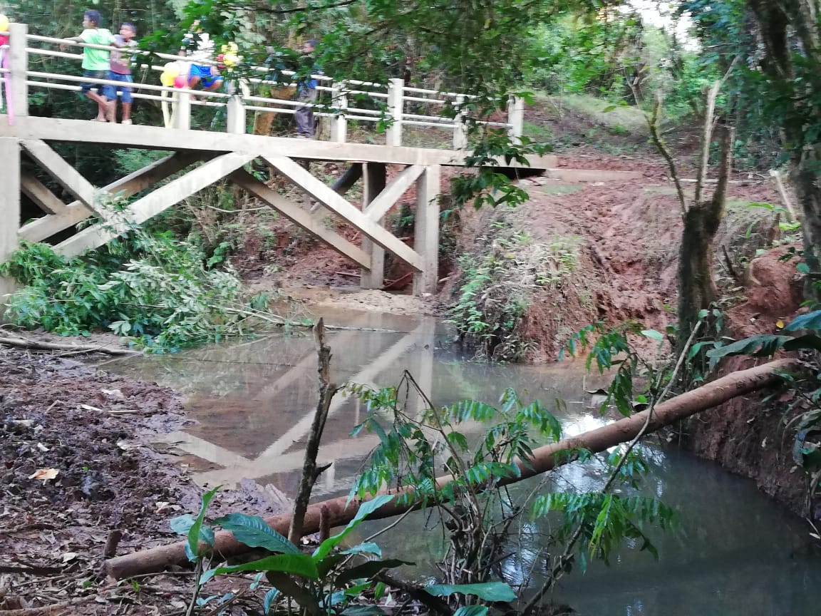 PUENTE2